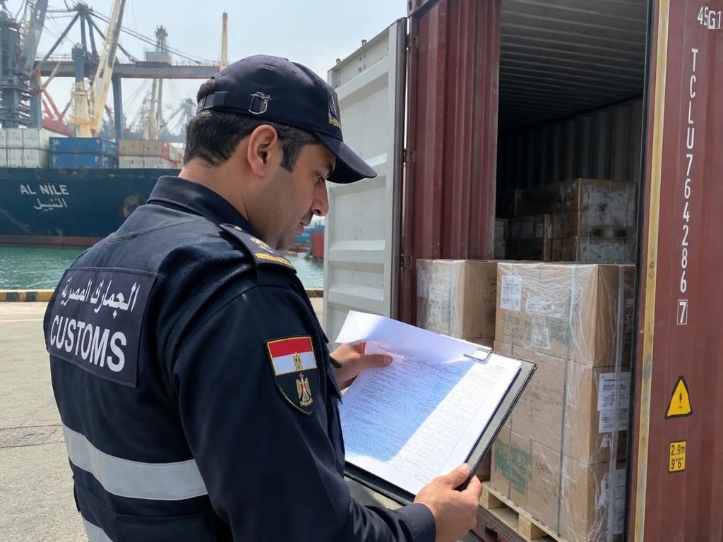 لينكا لوجستيك — customs